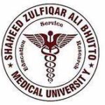 Shaheed Zulfikar Ali Bhutto Institute of Science and Technology